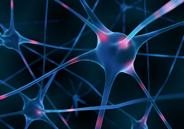 Training Solutions image